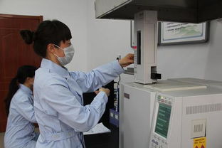 承德市多措并舉推進(jìn)農(nóng)產(chǎn)品綜合利用技術(shù)開發(fā)，賦能農(nóng)業(yè)綠色轉(zhuǎn)型與產(chǎn)業(yè)升級(jí)