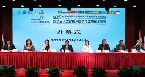 技能交融 創(chuàng)新引領(lǐng)——2025一帶一路暨金磚國家技能發(fā)展與技術(shù)創(chuàng)新大賽在桐城師專舉辦，技術(shù)服務(wù)賦能未來